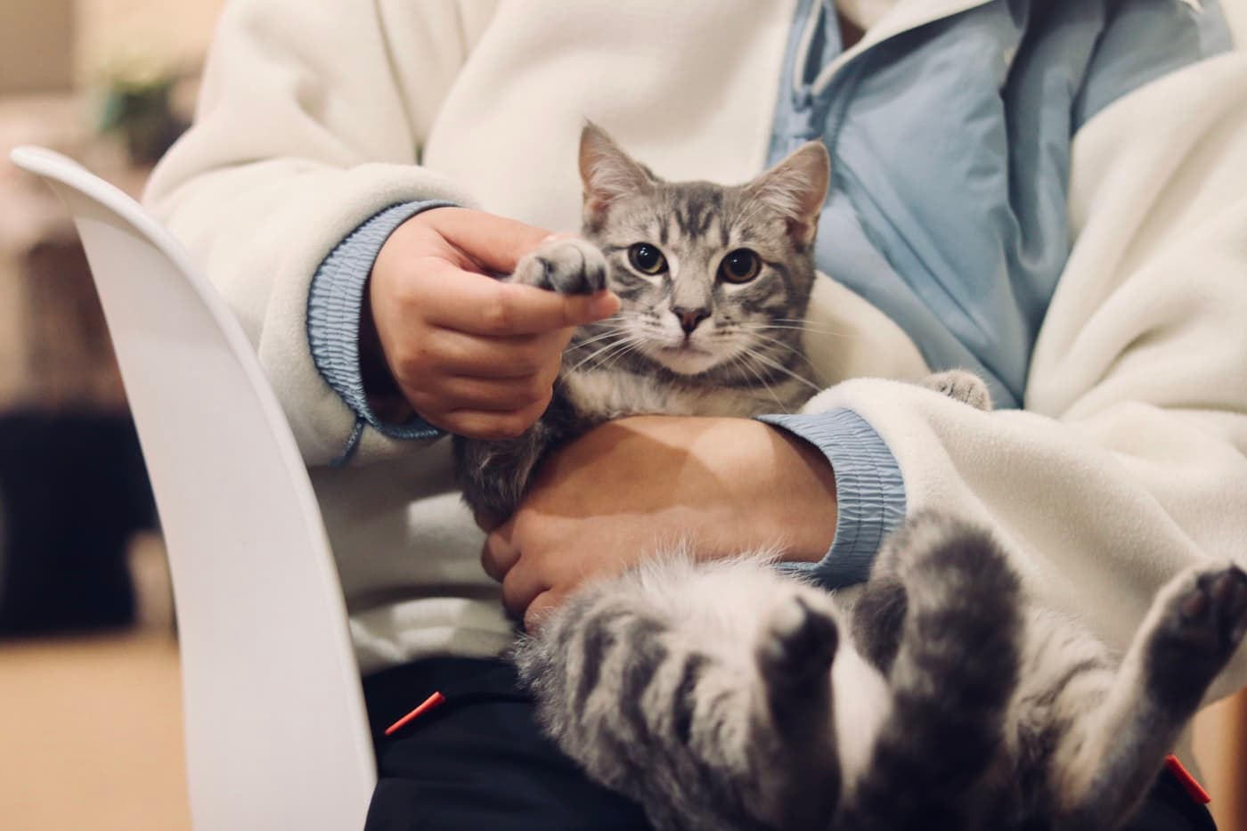 AnswerPet: The AI Receptionist Quietly Automating the Veterinary Front Desk in 2026
